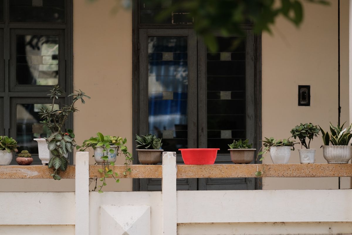 Plant pots positioned inside a balcony